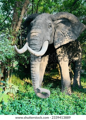 Forest Elephant Pictures wallpaper natures