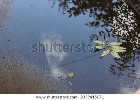 puddle on asphalt after rain Royalty-Free Stock Photo #2339415671