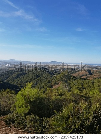 Beauty of a forest landscape with a city in the distance. The forest is lush and green, with tall trees and a variety of plants. The city is nestled in the foothills of the mountains