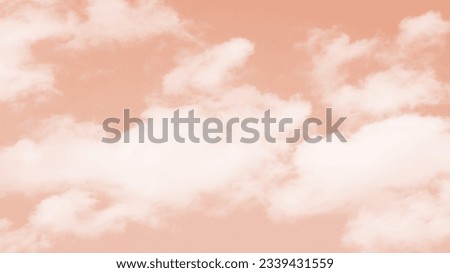 Beautiful magical scene with sky and clouds in trendy Conch Shell color as background for wallpaper, wedding card, website banner. Copy space for text. Photo tuned to light color.