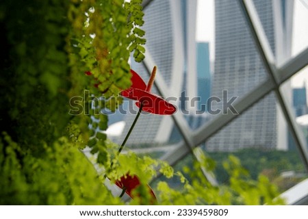 Picture of flower in Gardens by the Bay in Singapore