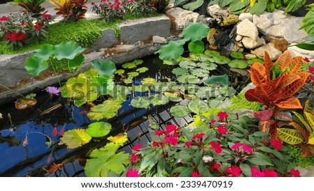 Quiet pond in a lush botanical garden.