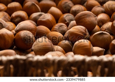 Photo of hazelnut. Hazelnut nut health organic brown filbert background concept. Food background. Hazelnut close-up. Hazelnuts. Food background, photo wallpaper.