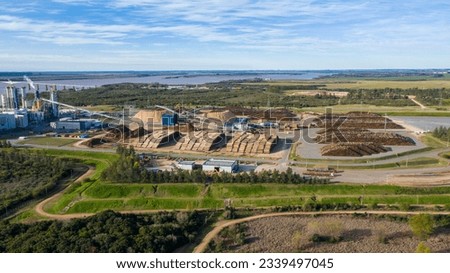 Pulp mill in South America Uruguay. Aerial view of eucalyptus wood and sawdust storage area. Factory manufactures bleached hardwood eucalyptus pulp. Royalty-Free Stock Photo #2339497045