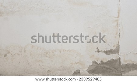 Pictures of cracked walls stained with water seeping and decaying over time.
