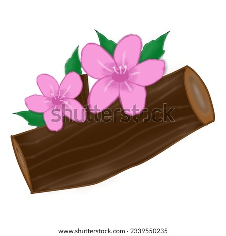 flowers that grow on logs