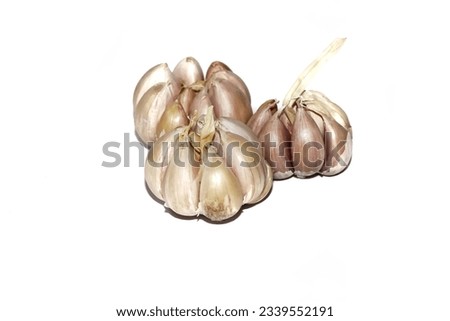 The garlic put on white background with concept isolated picture.