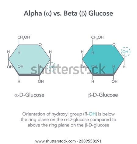 Alpha versus Beta Glucose chemistry vector illustration diagram Royalty-Free Stock Photo #2339558191