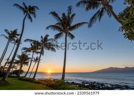 Hawaiian Sunset Palm Trees - Napili, Maui, Hawaii.  A small group of silhouetted palm trees against a beautiful Hawaiian sunset.