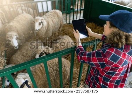 Woman farmer with tablet in a sheepfold. Herd management.	 Royalty-Free Stock Photo #2339587195
