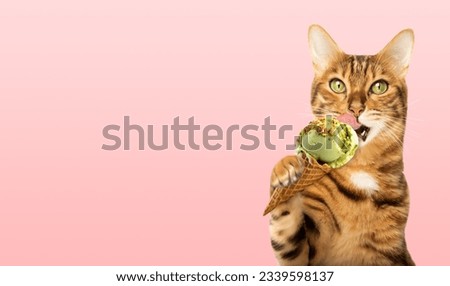 Portrait of a ginger cat licking an ice cream cone on a pink background. Copy space.