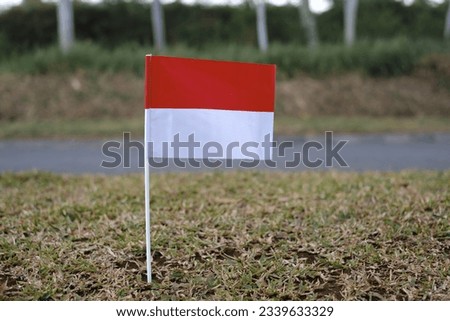 Selective focus shot of an Indonesian flag with a white pole stuck in the ground