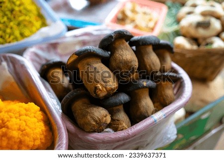 Mushrooms phlebopus portentosus in the farmer's market. Photo in Yunnan, China.