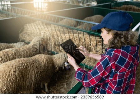 Woman farmer with tablet in a sheepfold. Herd management.	 Royalty-Free Stock Photo #2339656589