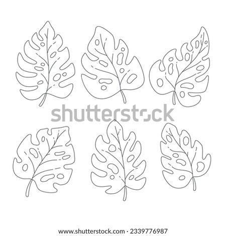 Monstera leaves. Monstera leaf outline. hand drawn monstera leaf illustration. Vector Illustration. Tropical jungle Monstera leaves isolated on white background. Swiss Cheese Plant. Monstereae. sketch