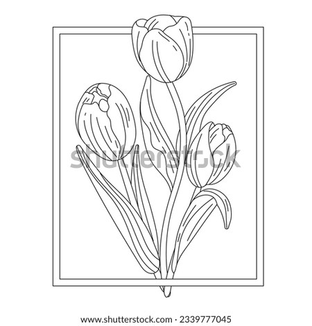 tulip outline. Tulip flower line art. Hand drawn set of tulips branches. Tulip Flower isolated on white background. vector illustration. tulip sketch. Abstract floral hand drawing outline tulips.