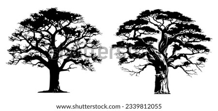 Baobab tree silhouette illustration set