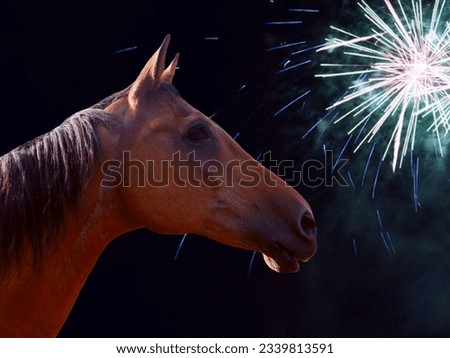 Portrait of a brown horse with fireworks in the background. Concept new year, fear of fireworks...