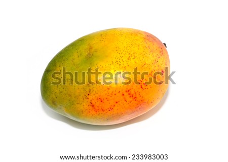 fresh mango fruit as an important part of the health food