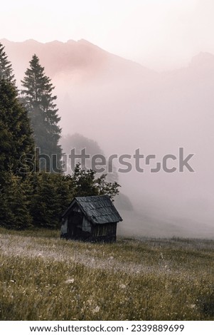 Meadows at foggy sunrise at Geroldsee, Wagenbruchsee, Bavaria, Germany Europe Royalty-Free Stock Photo #2339889699