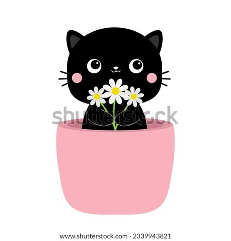Cat in flower pot. Daisy camomile chamomile bouquet. Black silhouette. Pink cheeks. Cute cartoon funny character. Baby pet animal collection. Sticker tshirt print. Flat design. White background Vector