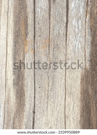 The beautiful dried wood pattern shows strength. Can be used as a beautiful vintage wallpaper.