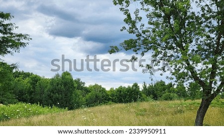 |Nature|the combination of a green tree, a fluffy cloud, and a beautiful blue sky creates a harmonious and enchanting scene that celebrates the wonders of nature.