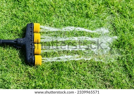 Hose with squirting water on green grass on summer with copy space
