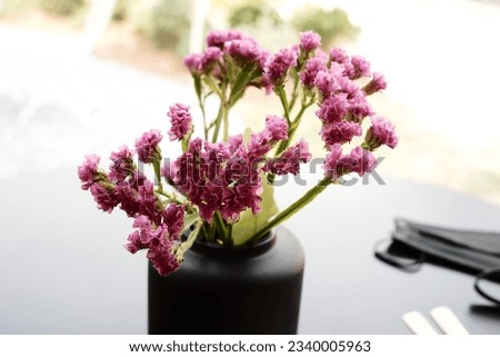Pink Flowers In Black Vase