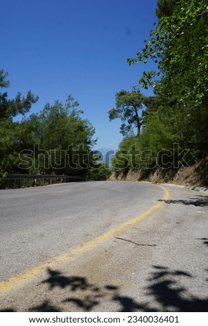 Road, asphalt, trees, road with trees