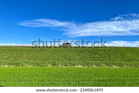 Sunny day in green rice fields with blue sky and soft clouds, behind the guardrail a black car drove by. Desktop blue green.
