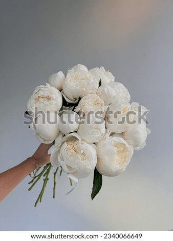 Bouquet of white peonies on a white wall