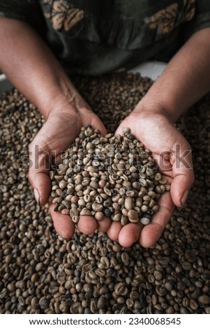 old woman's hand is doing manual selection of the best Arabica coffee beans selection in the sun at noon