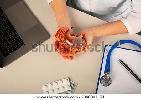 The anatomical model stomach in doctor palm hand on work desk Royalty-Free Stock Photo #2340081171