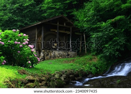 Kitakami City, Iwate Prefecture Water Mill and Hydrangea Royalty-Free Stock Photo #2340097435