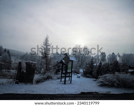 Winter sun, covered with snow trees and directional sign pole