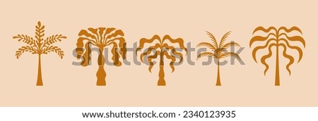 Vector logo and print design templates, summer palms, tropical hand drawn illustrations, tropical surfing concept, vacation and travel, palm trees and hippie boho elements