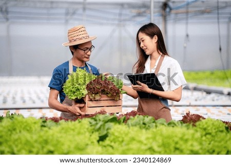 Two couple agribusiness owner farmer working and holding and checking organic hydroponic vegetable in basket to preparing export to sell, Hydroponic farming and Agriculture concept.