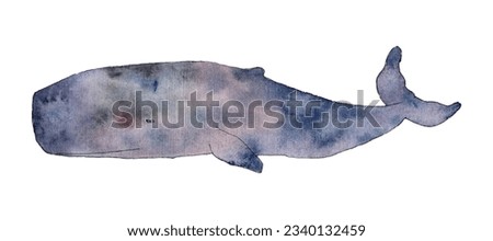 Watercolor cachalot. Wild inhabitant of the seas and oceans. Hand drawn cetaceans fish line art illustration for wallpaper, textile, card