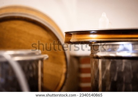 Winery - barrels with vine in small family wineard