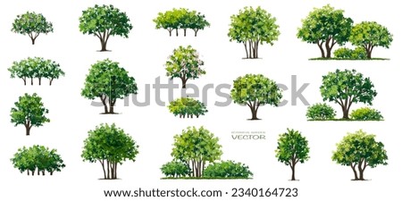 Vector of tree with flower grass or blooming shrub isolated on white background ,watercolor tree elevation for landscape concept,environment panorama scene,eco design,meadow for spring