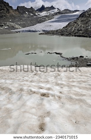 Glacier French alps wildlife Summer Nature