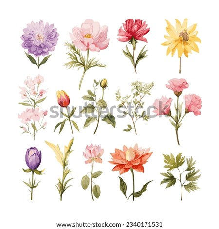 Hand drawn watercolor flower set. Herbs, wildflowers and spices. Branches, leaves, herbs, wild plants, flowers. Vector Illustration EPS10