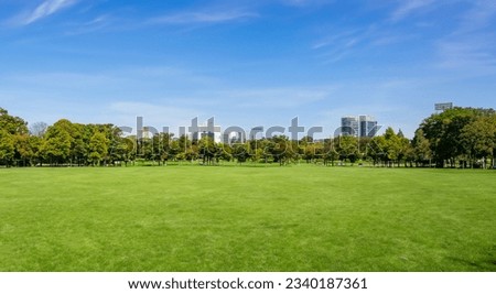 beautiful park with beautiful trees in the background and blue sky with clouds Royalty-Free Stock Photo #2340187361