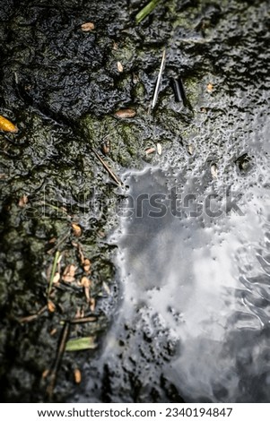 Image of the edge of a river where the ground is unclean
