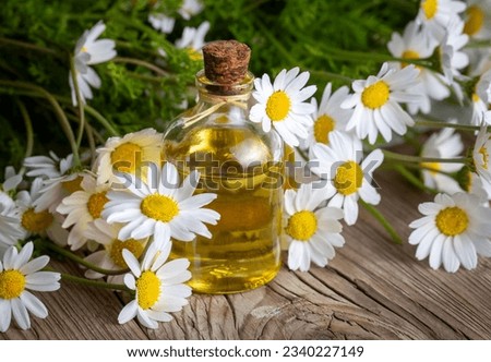 White daisy oil on the wooden background Royalty-Free Stock Photo #2340227149