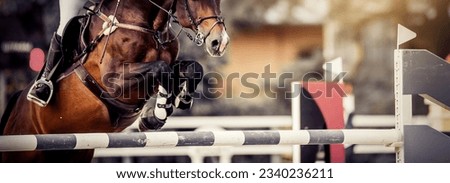 The shod hooves of a horse over an obstacle. The horse overcomes an obstacle. The leg of the rider in the stirrup, riding on a horse. Equestrian sport, jumping. Overcome obstacles.  Royalty-Free Stock Photo #2340236211