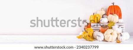 Thanksgiving, Halloween fall autumn season holiday background with colorful pumpkins. Stack of white, orange, golden, black painted pumpkins with autumn and Halloween party decor top view copy space
