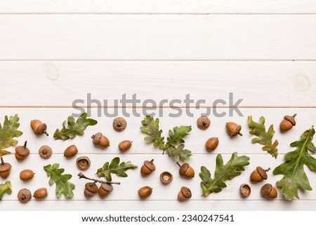 Branch with green oak tree leaves and acorns on colored background, close up top view. Royalty-Free Stock Photo #2340247541