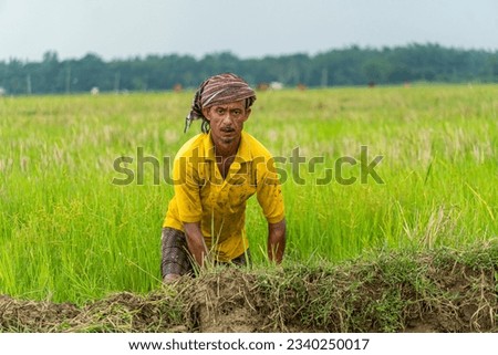 on a farming land a farm worker doing agricultural activities